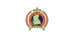 SAU University
