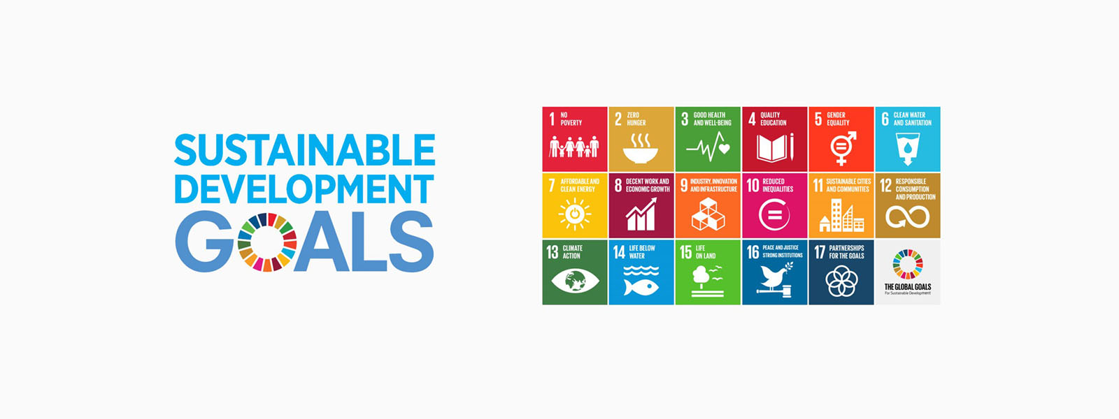 SDG-6