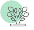 ENVE Program