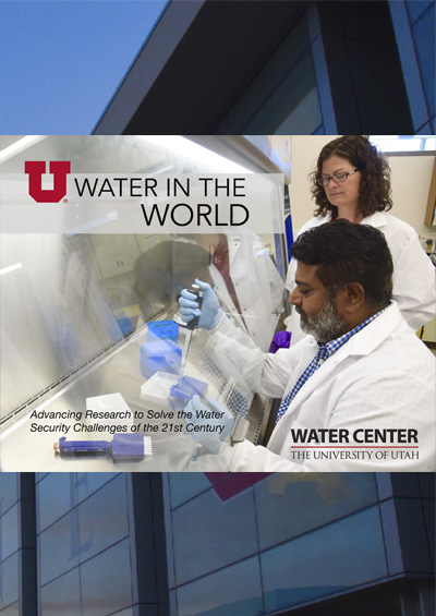 Water in the World