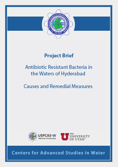 Project Brief