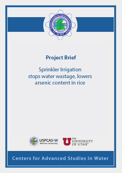 Project Brief