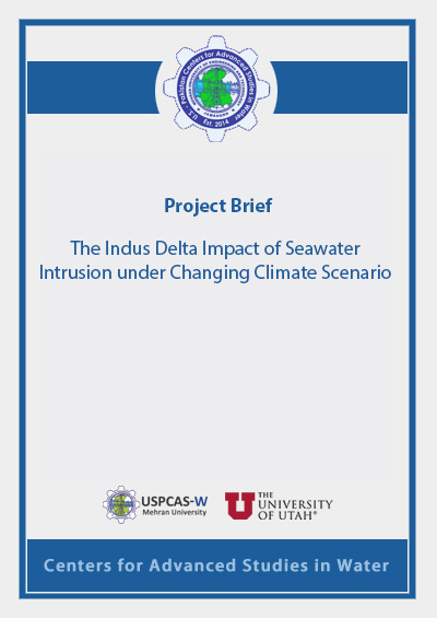 Project Brief