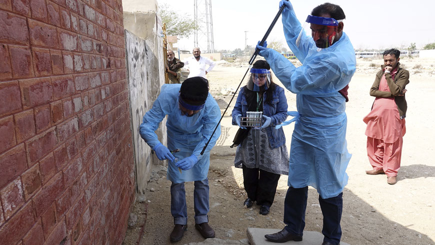 Researchers Sample Sinks and Latrines in Pakistan to Map Paths of Antibiotic-Resistant Bacteria